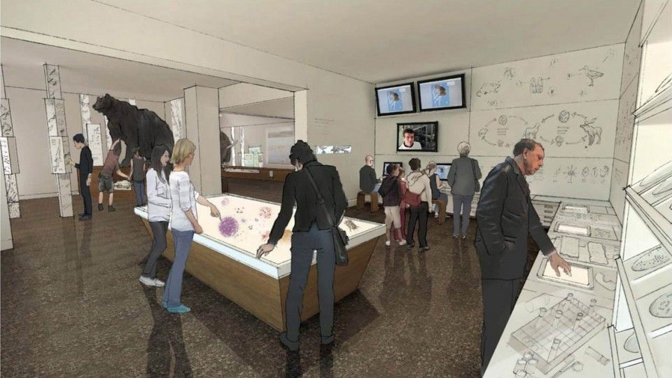Morrill Hall 4th floor renovation architect approved