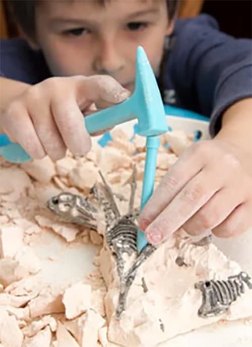 A young child using toy instruments to free a fossil