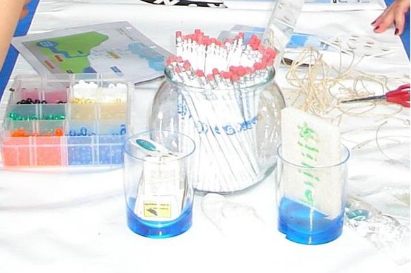 Education and science activities for home