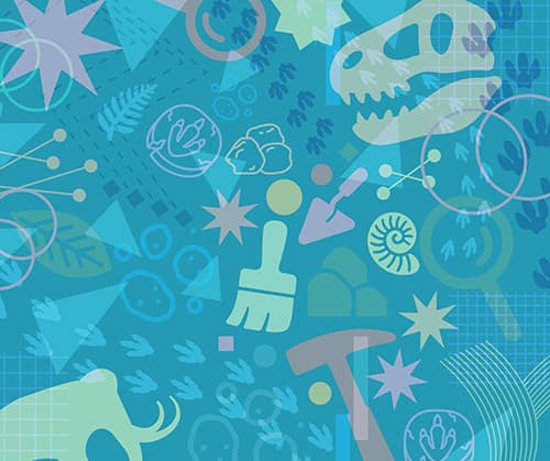 Fossil Safari 2025