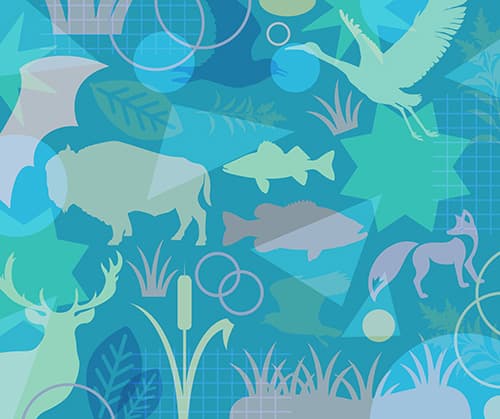 Husker Habitats