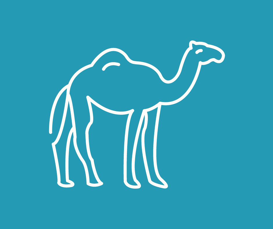 Camel icon