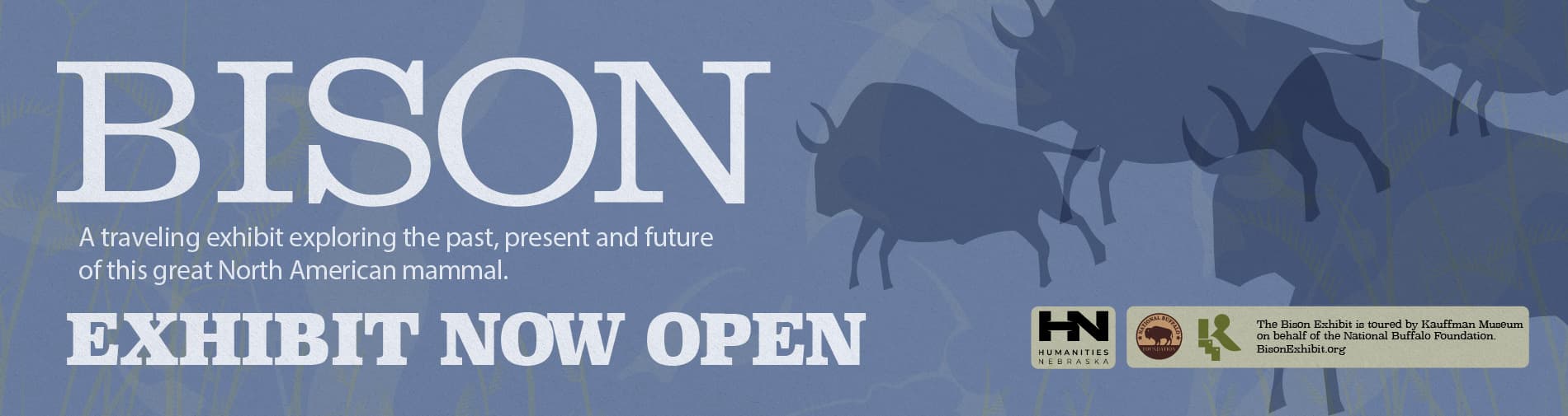 Bison Exhibition