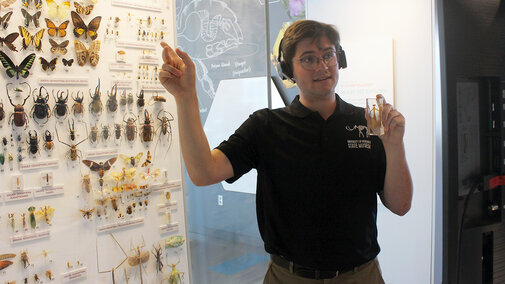 An educator conducts a virtual field trip in front of an entomology display of insects. 