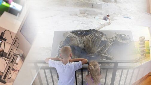 Collage image of dad and son at microscope, 2 children looking at fossil rhino, senior couple looking at mammoth mural. 