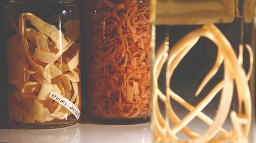 Parasites displayed in collection jars.