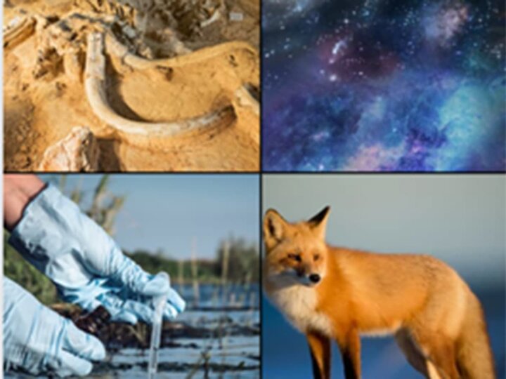 A collage of a fossil mammoth, galaxy, test tube of water by a river, and a fox