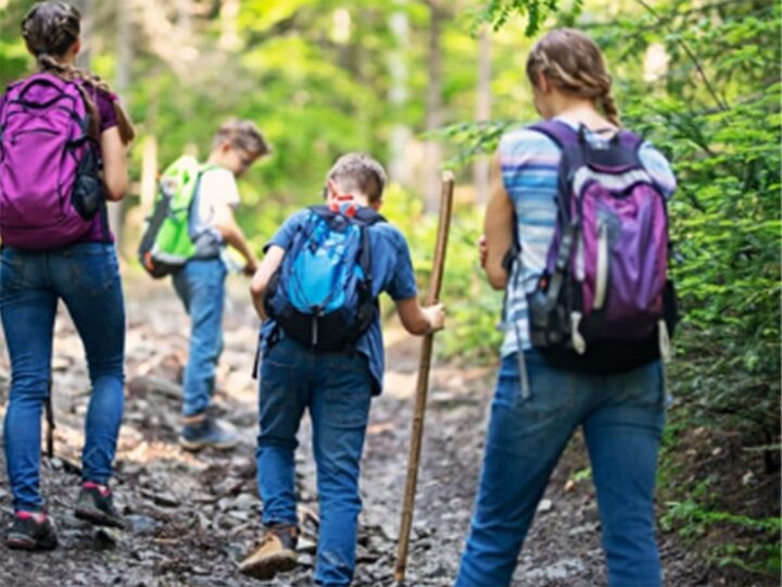 Students hike a nature trail in a park.
