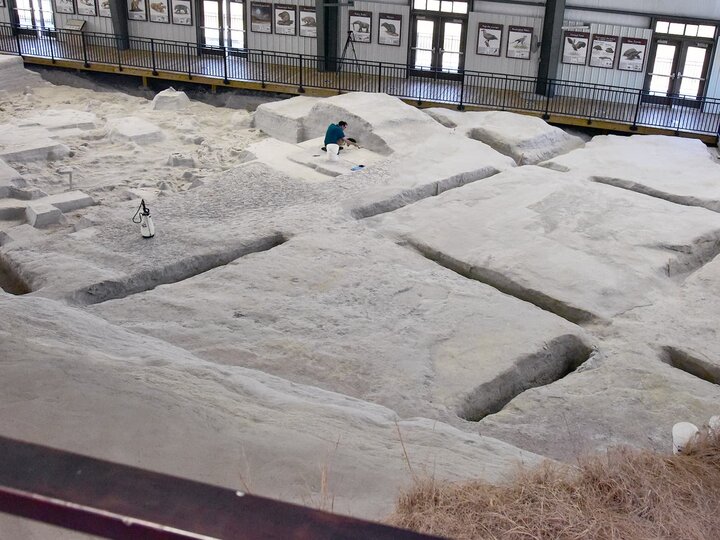 An overview of the Hubbard Rhino Barn at Ashfall Fossil Beds with crosscut sections of ash layers. 