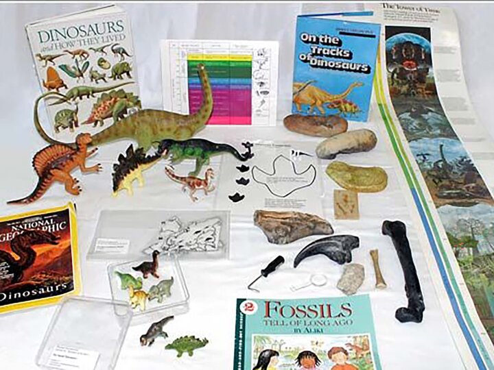 Toy dinosaurs, dinosaur books, and replica dinosaur fossils on a table. 