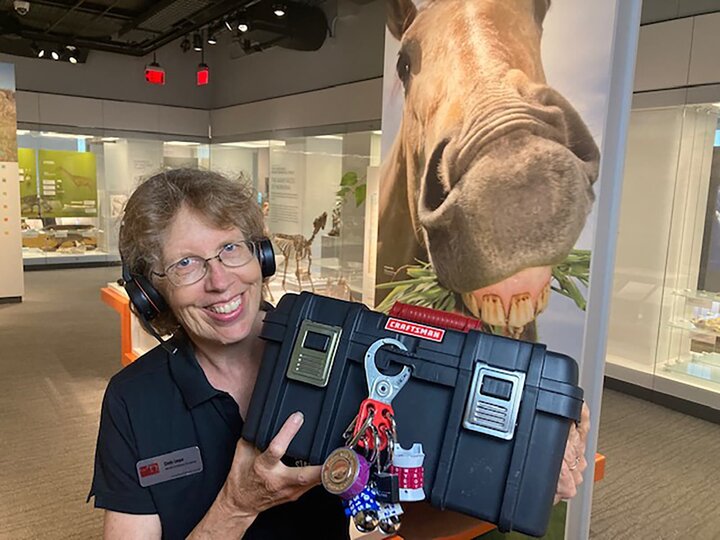 Museum educator shares an activity kit on screen while doing a virtual field trip about horse evolution.