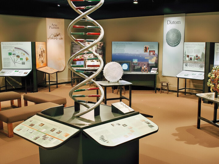 The Explore Evolution exhibition room with large models of DNA and a virus.