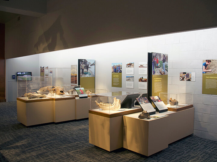 A variety of fossils on display with text about highway paleontology program.