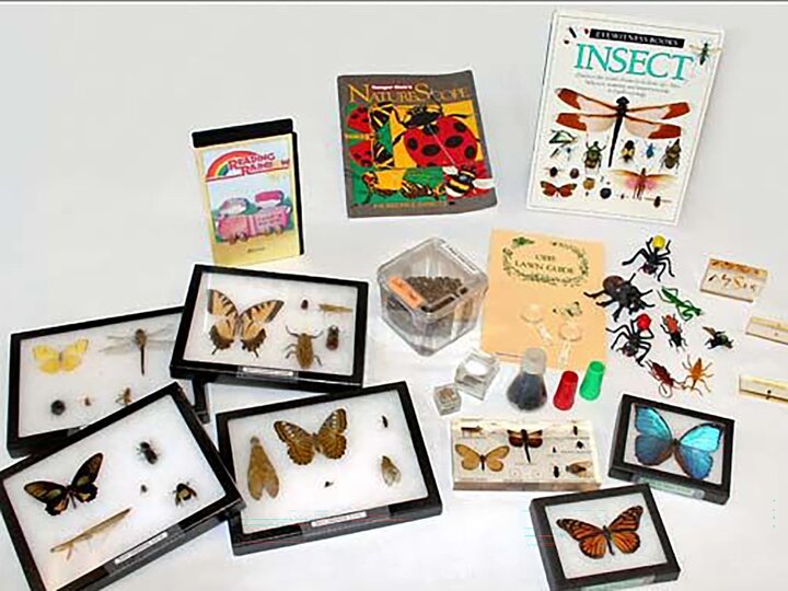 Small framed butterflies and moths with insect identification guides. 