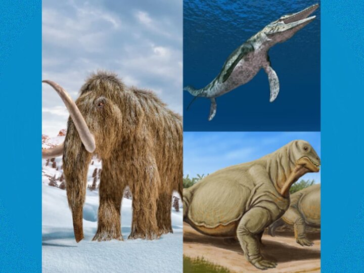 A collage of a mammoth, mosasaur, and maschop