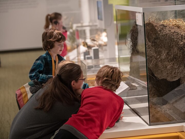A mom and three children examine an exhibit about rattlesnakes. 