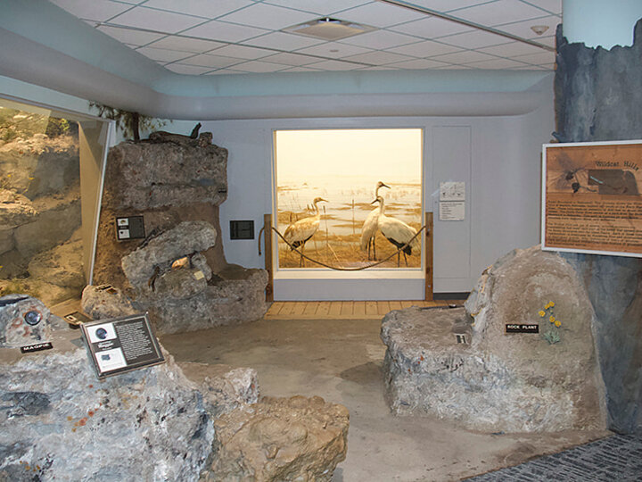 Hall of Nebraska Wildlife exhibit