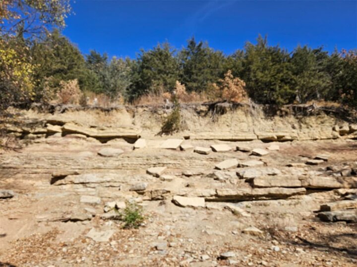 A rocky outcrop with trees at the top.