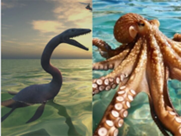 A mosasaur and giant octopus