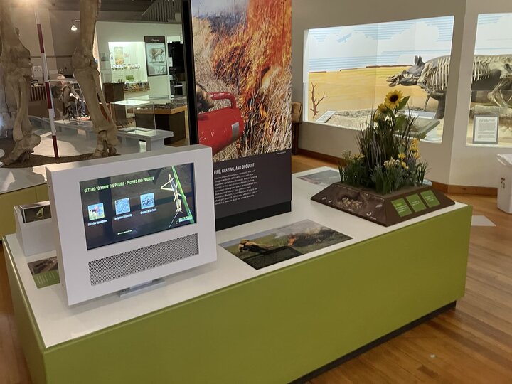 Display with touch screen kiosk and 3d model of a wildflower. 