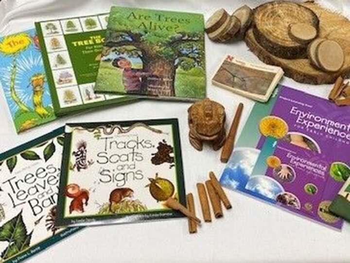 Small tree trunk rounds and tree books on a table. 