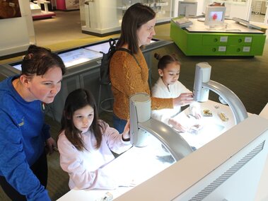 Two moms and their daughters look at spiders and butterflies under microscopes projected to monitors. 