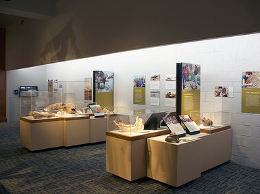 A variety of fossils on display with text about highway paleontology program.