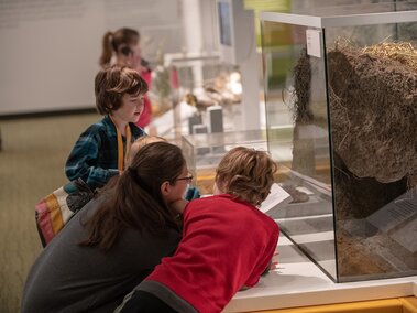 A mom and three children examine an exhibit about rattlesnakes. 