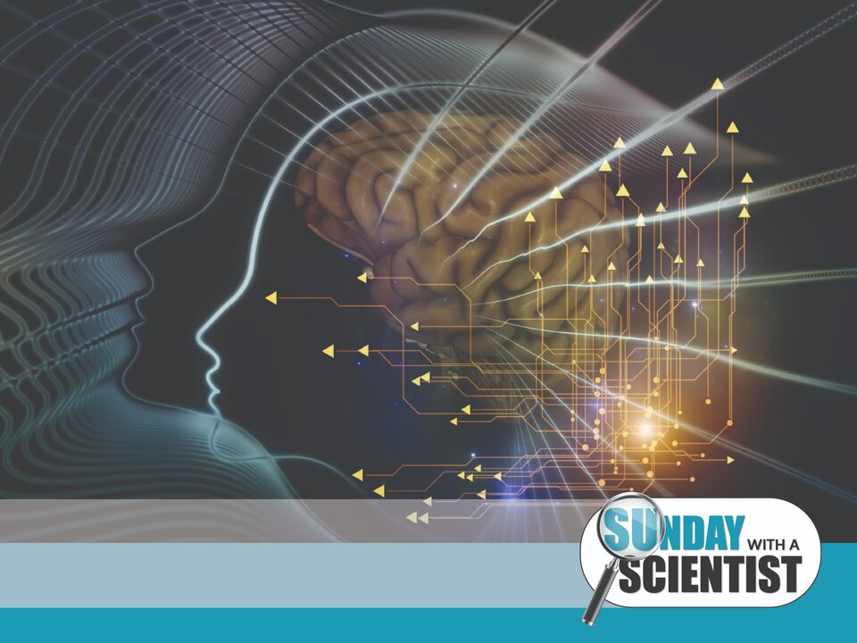 Promotional graphic for Sunday with a Scientist with the event logo in foreground, background of a silhouette head, a colored brain, and lights with connection arrows overlapping the brain illustration. 