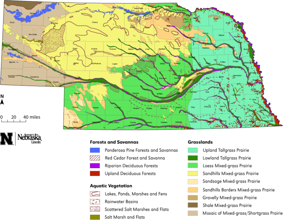 A topographic map of Nebraska illustrating the pre-1860s vegetation across the state. 