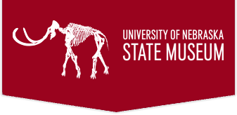 Museums overview home